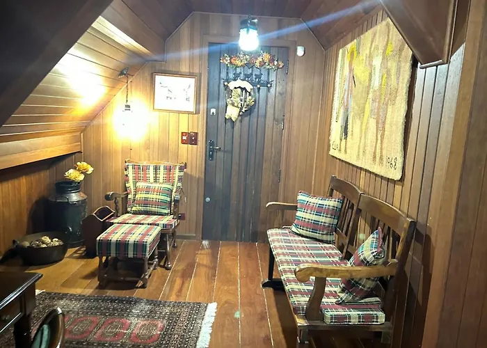 The Braun House